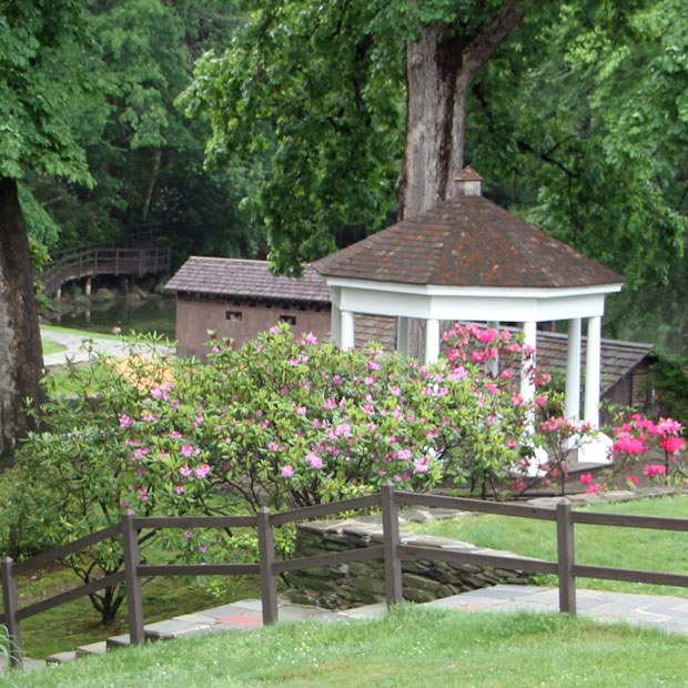 Cathy's Garden & Gazebo stairs and flowers